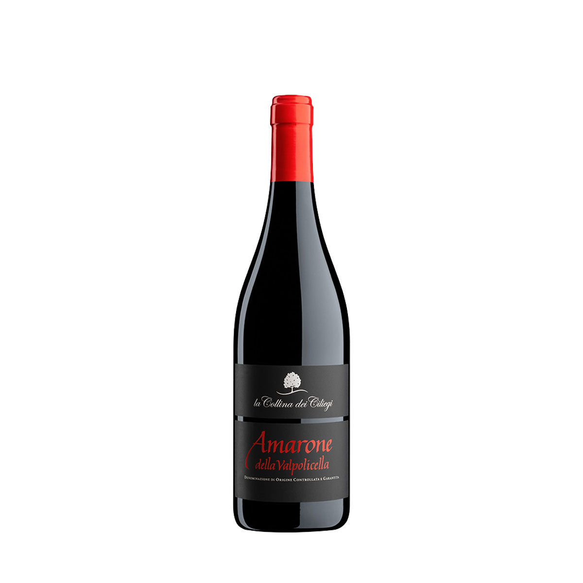 Amarone Della Valpolicella 2020 - La Collina dei Ciliegi