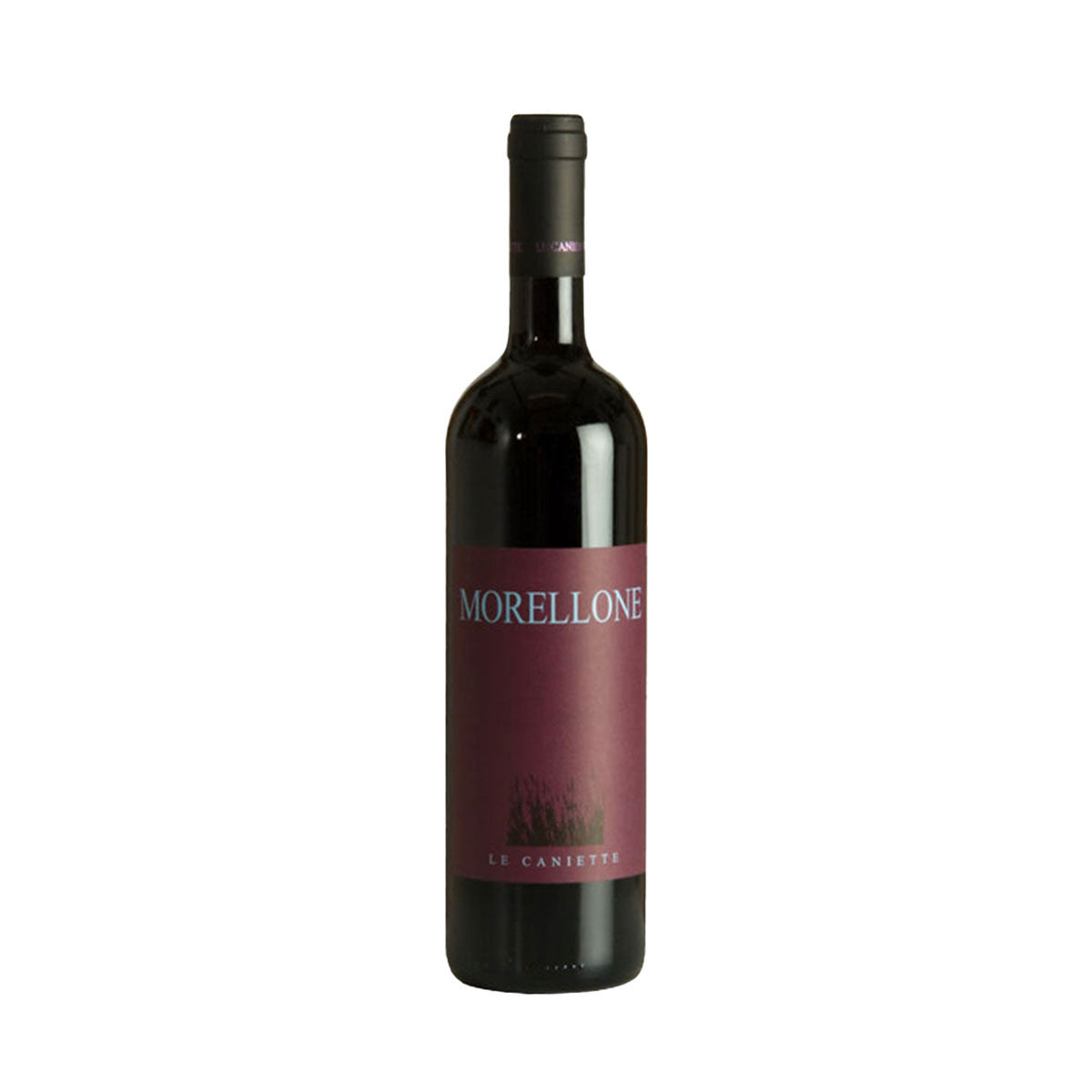 Morellone 2019 Bio - Le Caniette