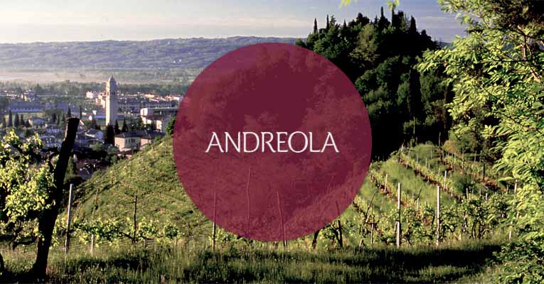 Andreola