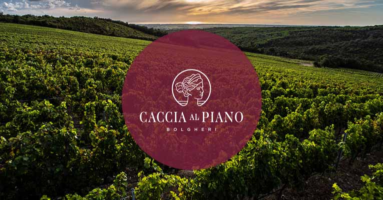 Caccia Al Piano