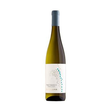Pinot Bianco Trentino 2023 - Cantina Rotaliana