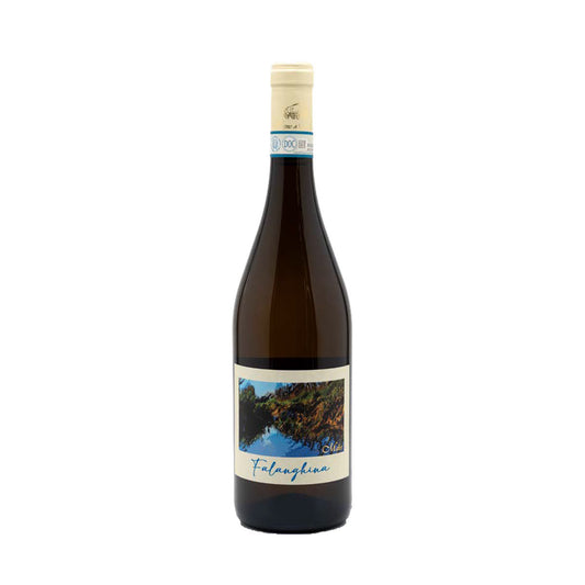 Falanghina del Sannio DOC 2023 - Vigne Di Malies