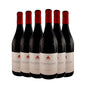 Dolcetto D'Alba 2021 - Cantina Del Pino Kit 6 Bottiglie