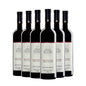 Dolcetto D'Alba 2023 - Paolo Scavino Kit 6 Bottiglie