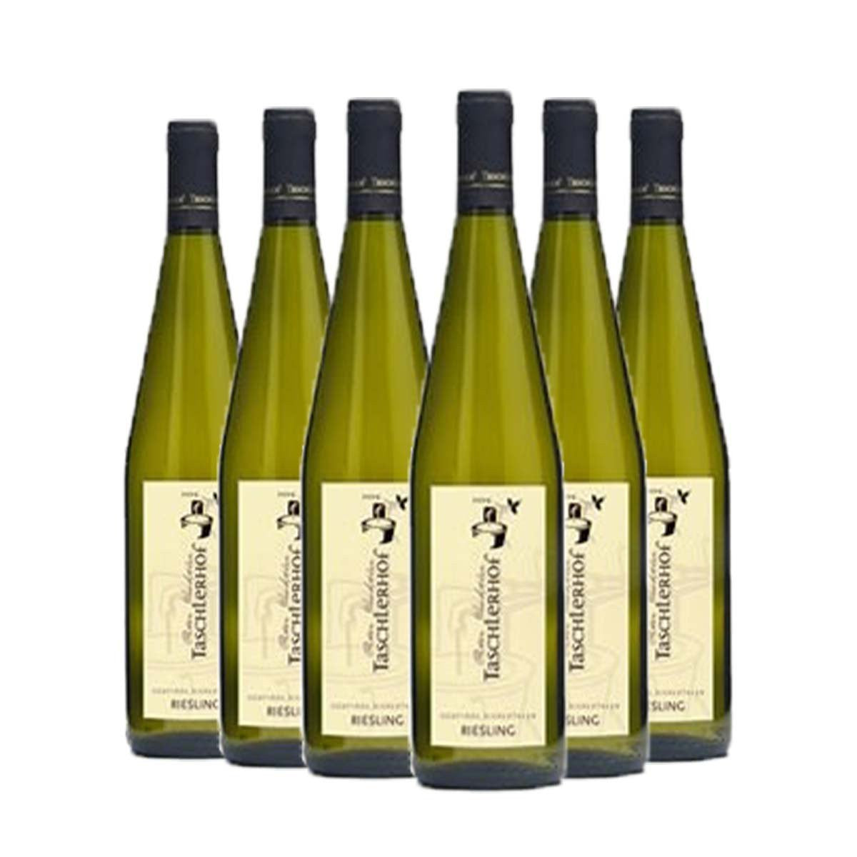 Riesling 2022 - Taschlerhof Kit 6 Bottiglie