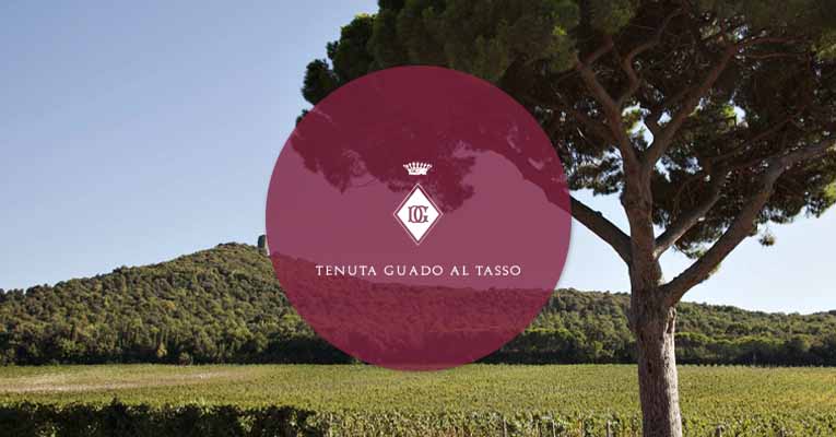 Guado Al Tasso