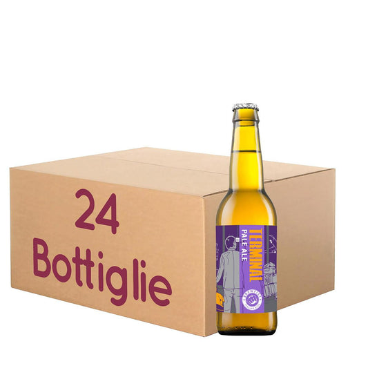 Terminal 1 Brewfist - American Pale Ale - BOTT. 33 Cl KIT 24
