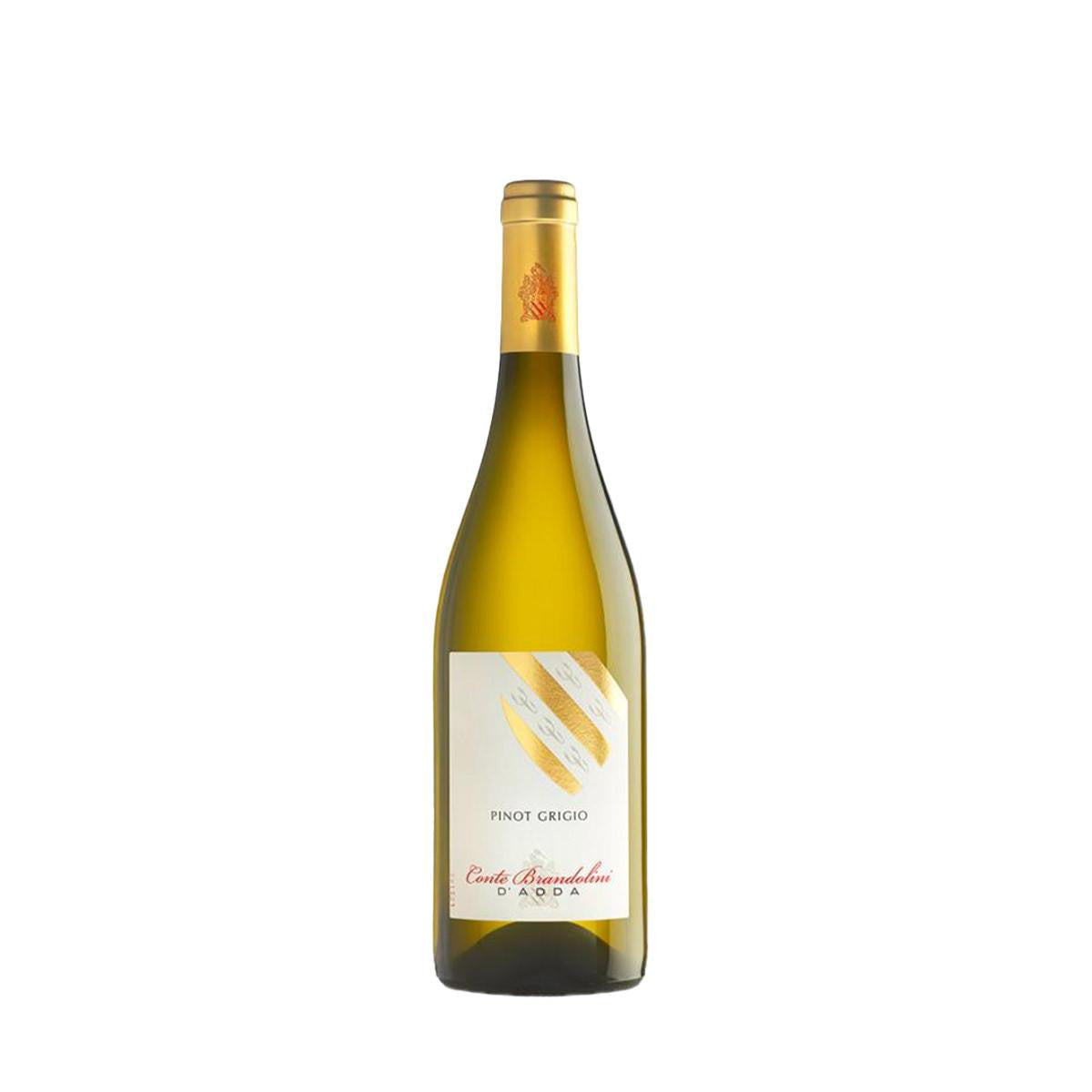 Pinot Grigio 2022 - Conte Brandolini d'Adda