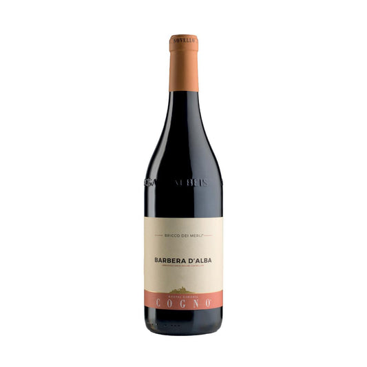 Barbera D'Alba 'Bricco Dei Merli' 2021 - Elvio Cogno