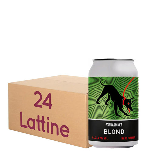 Blond Extraomnes  - Belgian Pale Ale - LATT. 33 Cl KIT 24