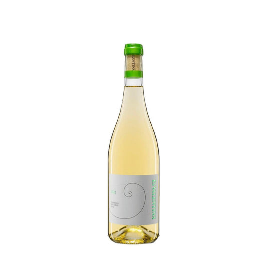 Trebbiano d'Abruzzo 2022 - Fattoria La Valentina