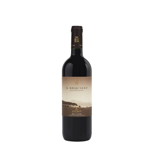 Il Bruciato Bolgheri 2022 - Tenuta Guado al Tasso