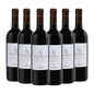 Chianti Classico DOCG 'Peppoli' 2022 Kit 6 Bottiglie - Peppoli