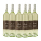 Langhe DOC 'Arneis' 2023 Kit 6 Bottiglie - Prunotto