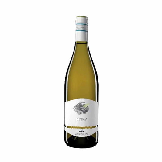 San Clemente Bianco 2016 - Zaccagnini